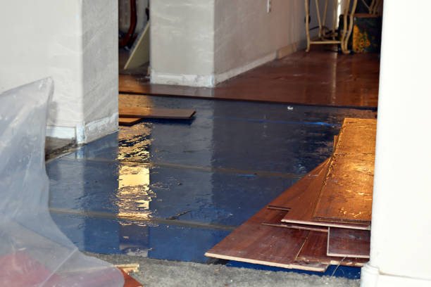 Professional Water Damage Restoration technician working in Hurley, NM
